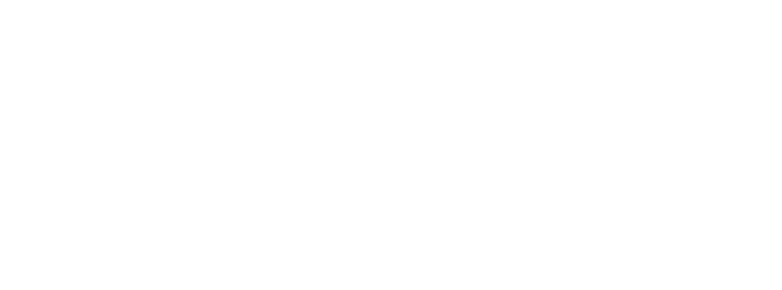 Logo Works BI